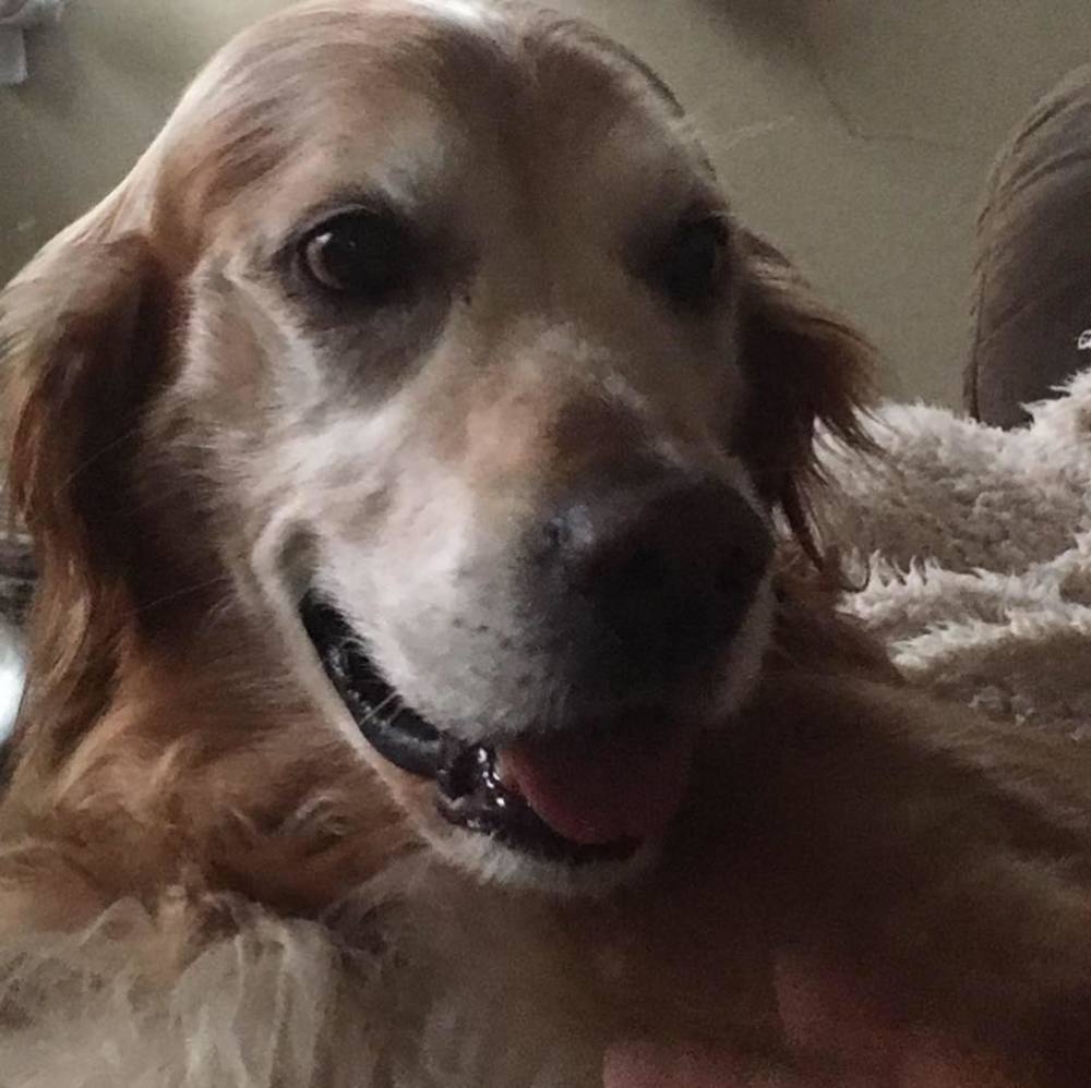 Meet your Posher, Roxanne
